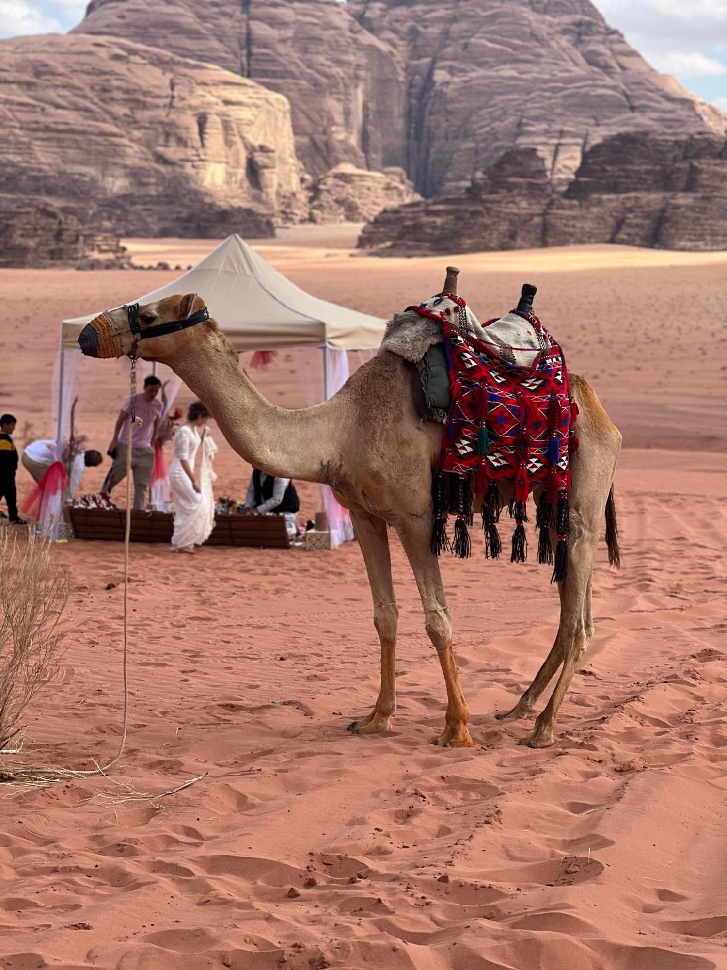 Moon Magic Valley Apartment Wadi Rum Luaran gambar