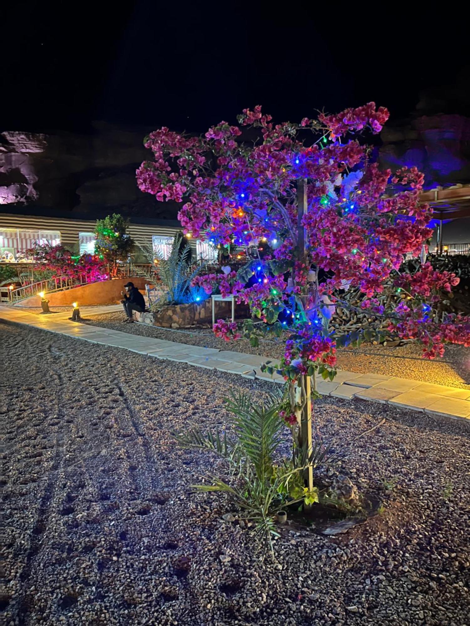Moon Magic Valley Apartment Wadi Rum Luaran gambar