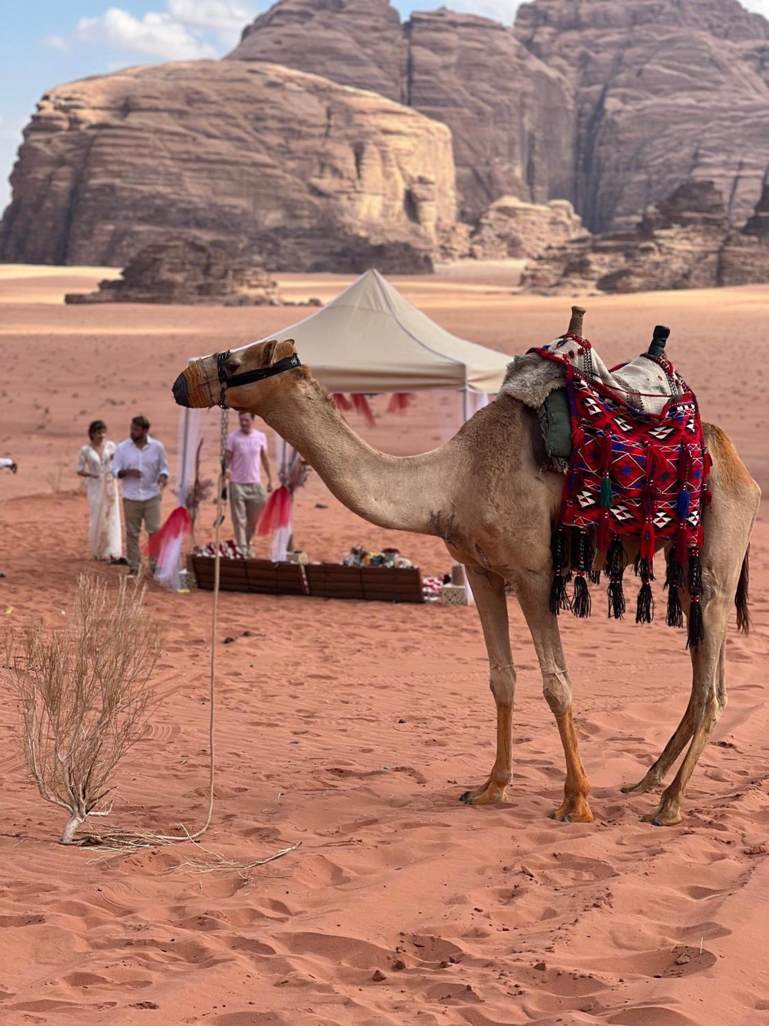 Moon Magic Valley Apartment Wadi Rum Luaran gambar
